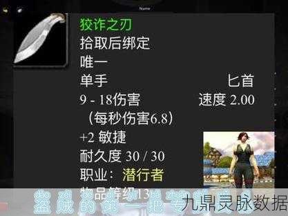 魔兽世界，剑贼与匕首贼的差异化玩法探索