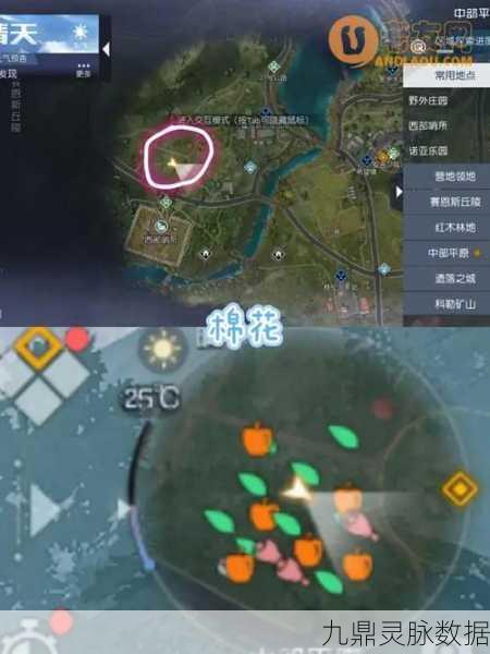 黎明觉醒,生机中部平原石头采集秘籍