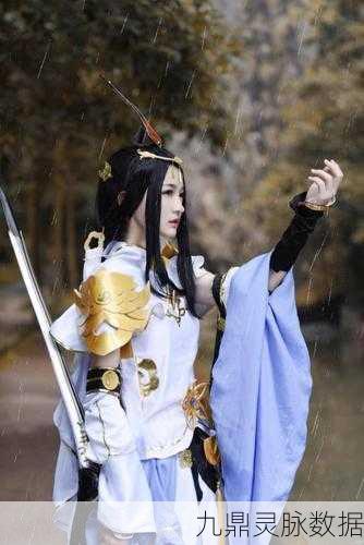 模拟江湖侠义值降低秘籍,解锁另类江湖路