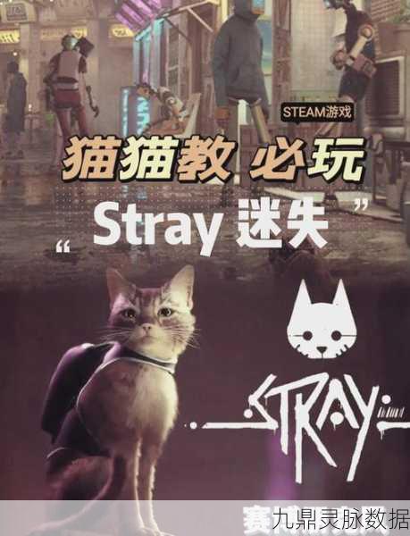 拯救猫猫安卓来袭,趣味休闲新体验等你解锁