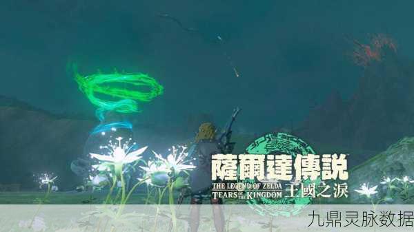 塞尔达传说王国之泪,解锁极致画面帧数,畅享丝滑冒险之旅