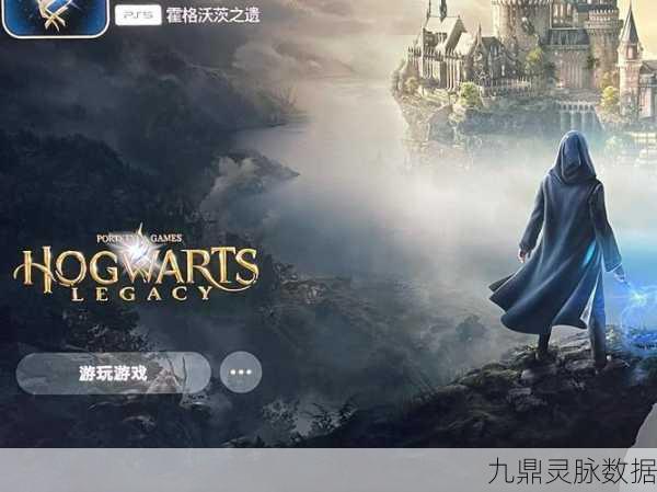 霍格沃茨之遗法师,掌握魔法,征服魔法世界