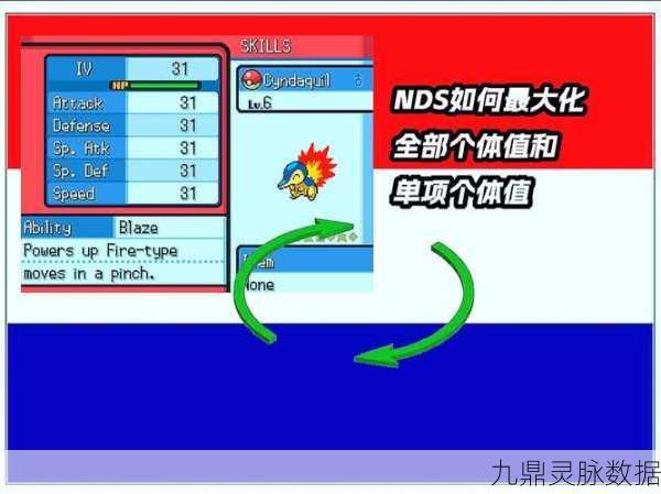 口袋妖怪心金,解锁攀岩秘技的奇幻之旅