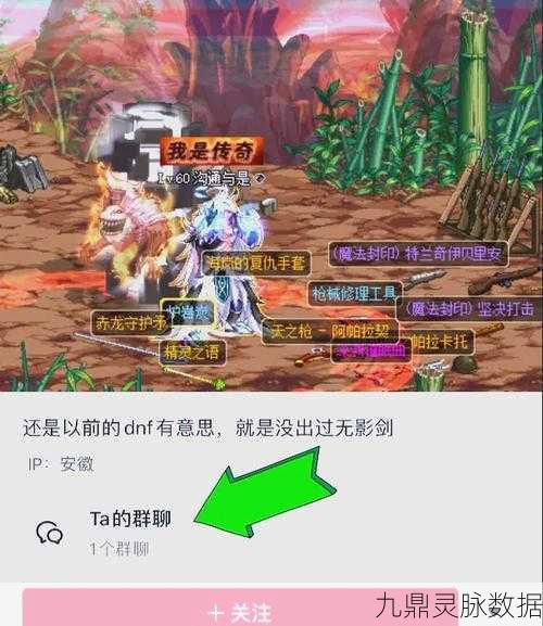 DNF高手传奇，揭开月影枫的神秘面纱