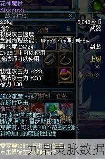 DNF变形法杖探秘,解锁战斗新形态