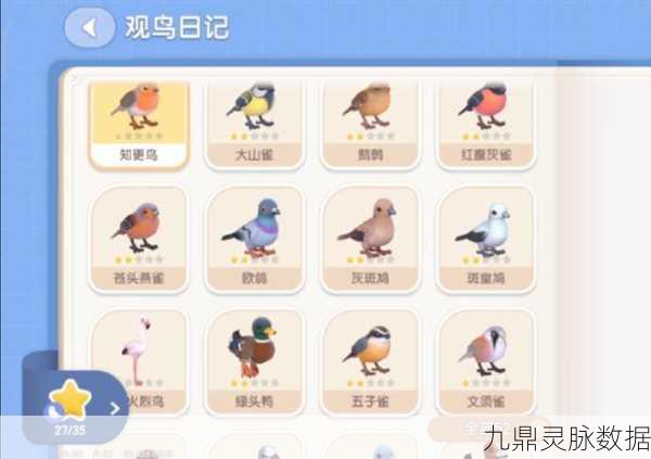 心动小镇,鸟类观察全攻略,解锁自然奇遇