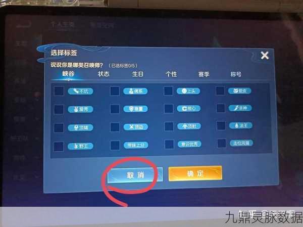 王者荣耀人物性别更改全解析