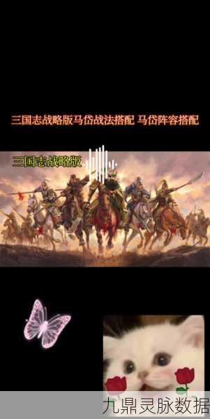 三国志战略版黄忠阵容搭配全攻略，解锁老将的荣耀之路