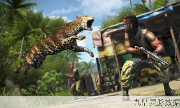 孤岛惊魂3，揭秘游戏内两大地图的独特魅力