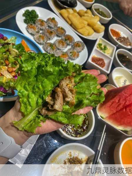 伊洛纳肉食盛宴,解锁宣传肉食任务的全面攻略