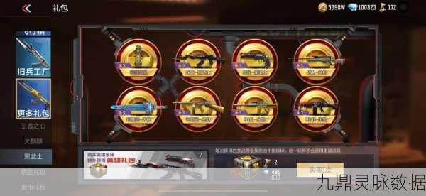 CF手游金币礼包深度剖析,价值衡量与明智之选