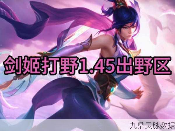 王者荣耀剑姬,剑影翩跹,揭秘她风靡战场的传奇之旅