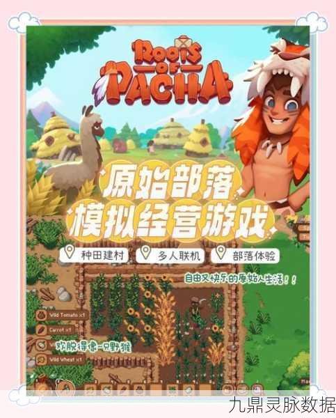 石器时代手游深度探索,转宠与转生的奥秘