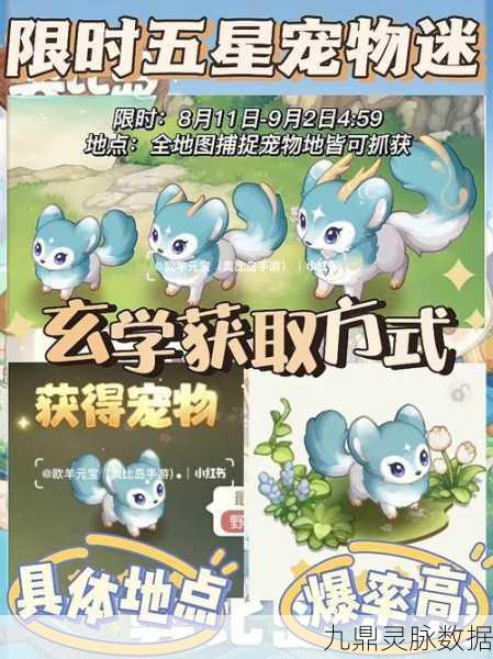 奥比岛宠物捕捉全攻略,捕捉地点与技巧大揭秘