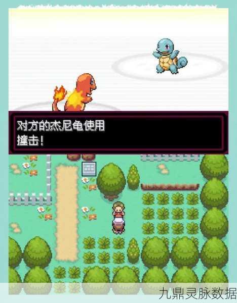 口袋妖怪锘，解锁奇幻世界的冒险秘籍