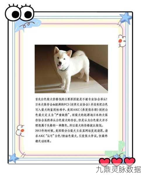 解锁动物餐厅白柴犬委托，打造专属萌宠体验
