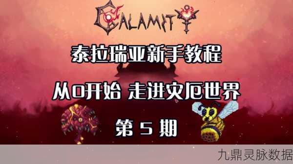 泰拉瑞亚大宝箱怪，解锁珍稀宝藏的冒险指南