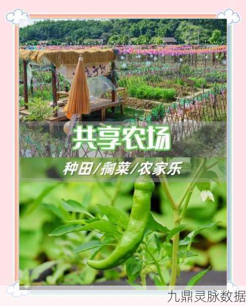 趣味田园农家乐，解锁你的绿色梦想，享受种植乐趣
