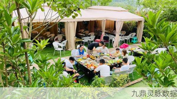 趣味田园农家乐,解锁你的绿色梦想,享受种植乐趣