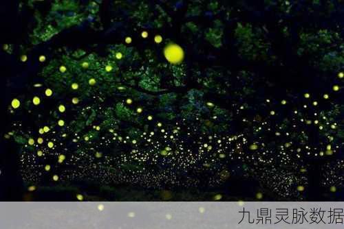 剑与魔法世界,解锁坐骑奥秘,星空甲虫捕捉全攻略