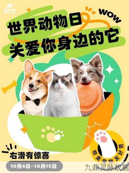 我的动物收容所,筑梦爱心乐园,共赴动物保护之旅