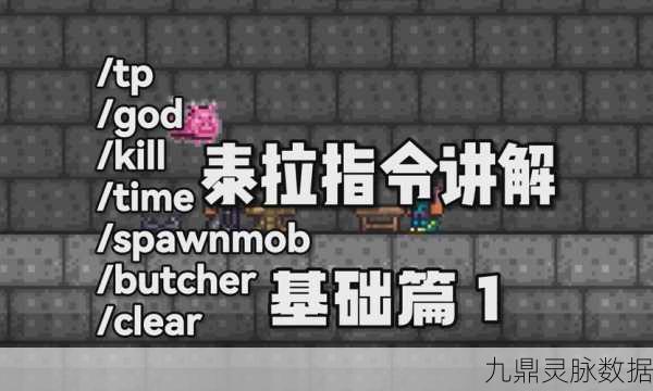 泰拉瑞亚探险必备，揭秘史莱姆钩的快捷秘籍