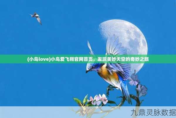 魔域神之召唤任务全攻略,解锁幻兽飞升的秘密
