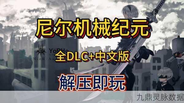 尼尔机械纪元Steam版,玩家心中的未解之谜