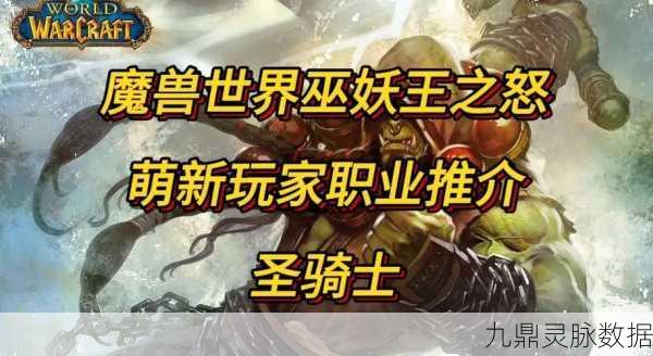 圣骑士新版本迷局,炉石传说报告骑何去何从?