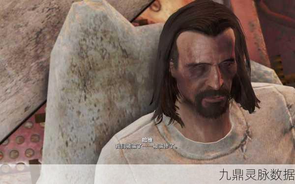 辐射4弱智流玩法深度解析，如何在废土上做一个幸运的傻子？