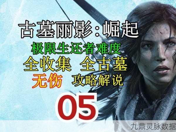 硬核玩家必看，解锁使命召唤10与古墓丽影崛起的显卡秘籍