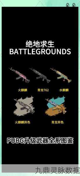 绝地求生新武器Bizon全面解析，性能与玩法深度探索