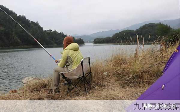 钓鱼佬的自我修养，解锁休闲新境界的模拟经营之旅