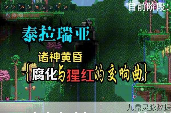 泰拉瑞亚探险奇遇,揭秘荧光蝙蝠秘境与宝藏之谜
