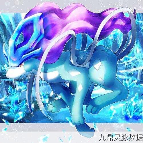 口袋妖怪探险,揭秘龙之波动的奇幻之旅