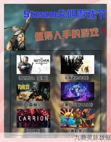 STEAM平台全解析,游戏玩家的终极指南