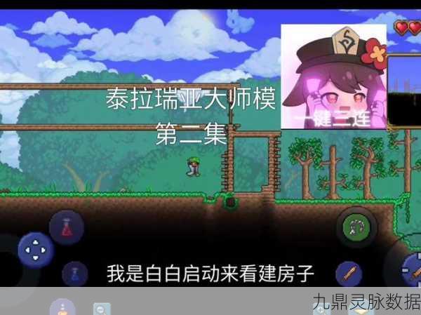 泰拉瑞亚挖坑秘籍,高手进阶与极速挖坑全攻略