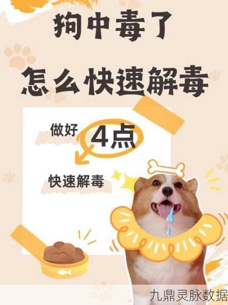 魔性搞笑来袭!宠物消消消带你领略别样三消乐趣