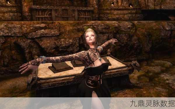 上古卷轴5传奇难度挑战,从新手到100级的史诗之旅