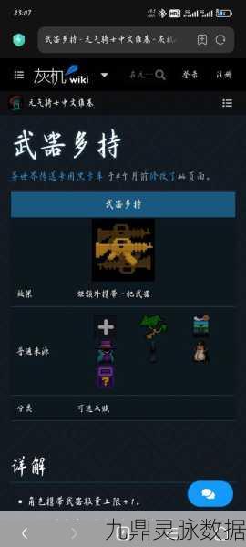 元气骑士国王新枪深度攻略,天赋配置与技能玩转,助你战斗实力飙升