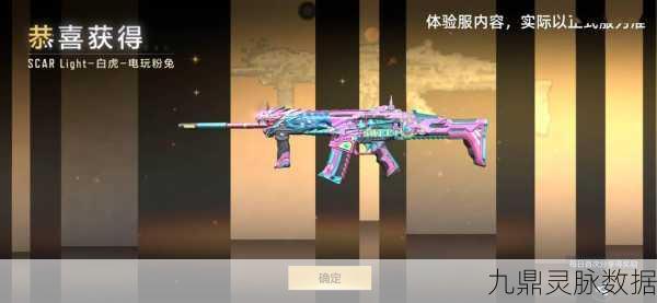 CF黎明护卫深度探索,荣耀之路,新篇章的勇者征程