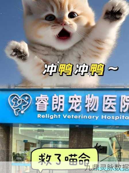 模拟宠物小医生,一场萌趣横生的宠物救治之旅