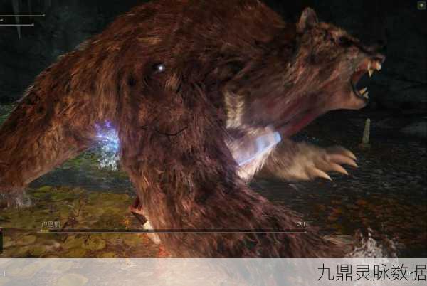 艾尔登法环卢恩，解锁角色成长的秘密钥匙