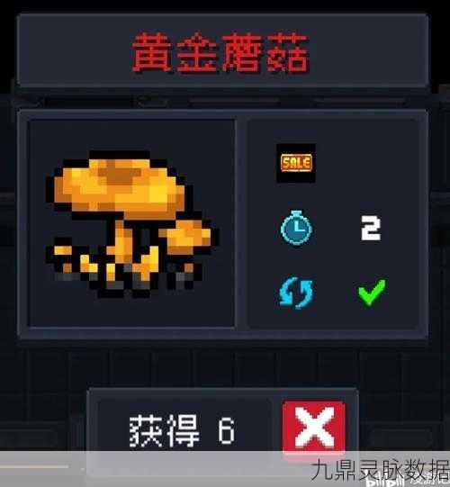 元气骑士黄金蘑菇，解锁神秘力量与获取全攻略