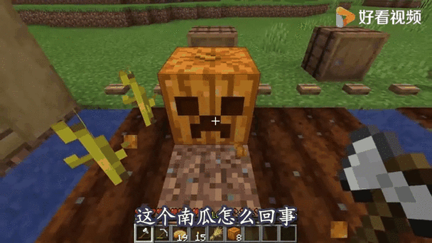 我的世界南瓜种植全攻略,静待金黄,收获时刻你准备好了吗?