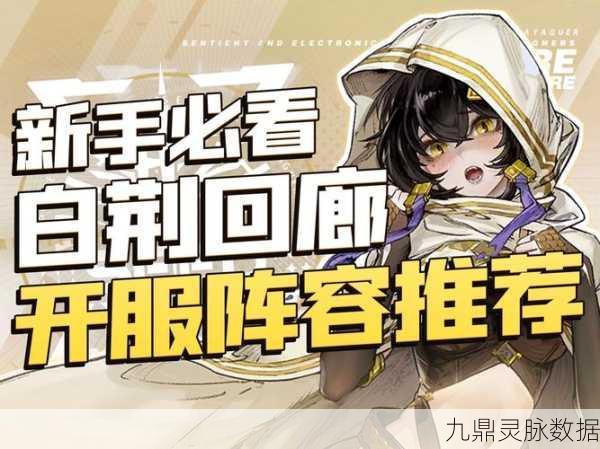 白荆回廊深度探索,战乱地区红玉风队高效配卡全攻略