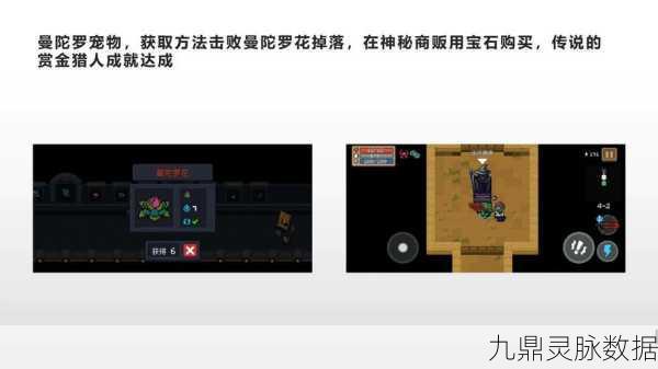揭秘元气骑士中的曼殊沙华,作用、种植效果及神秘魅力