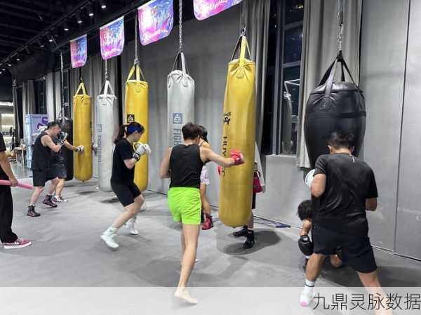 拳力全开!我跳起来就是一拳带你领略跳跃闯关新风尚