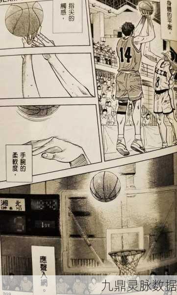 街篮训练营深度解析，投篮次数背后的高手之路