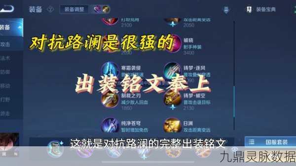 王者荣耀澜朋友，英雄背后的温情故事与玩法攻略